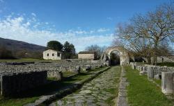 Consiglio
